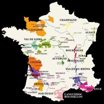 AOC:法國葡萄酒的成功密碼_經濟臺_中國網絡電視臺