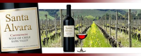 當(dāng)日特價兩個月銷量的TOP8產(chǎn)品排名出來了!冠軍居然不是法國葡萄酒,就是。