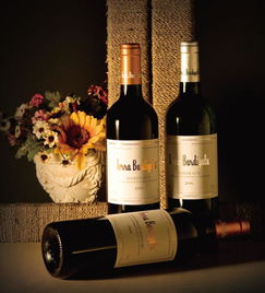 法國原裝進(jìn)口葡萄酒 天鵬家族 波爾多 紅葡萄酒750ml