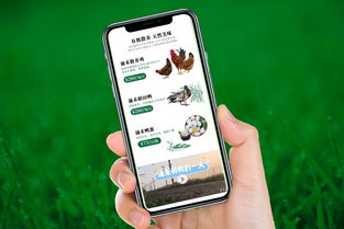 自然之涌，純凈之禾 涌禾農場全案品牌形象塑造之路